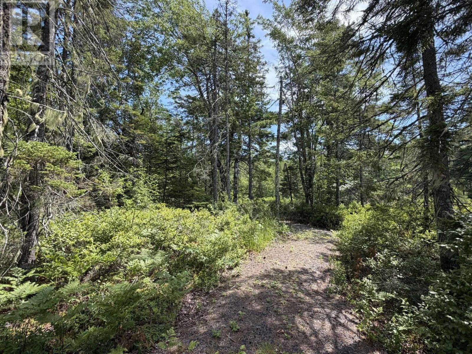 21 Turtle Lake Crescent, West Caledonia, Nova Scotia  B0T 1B0 - Photo 21 - 202618314