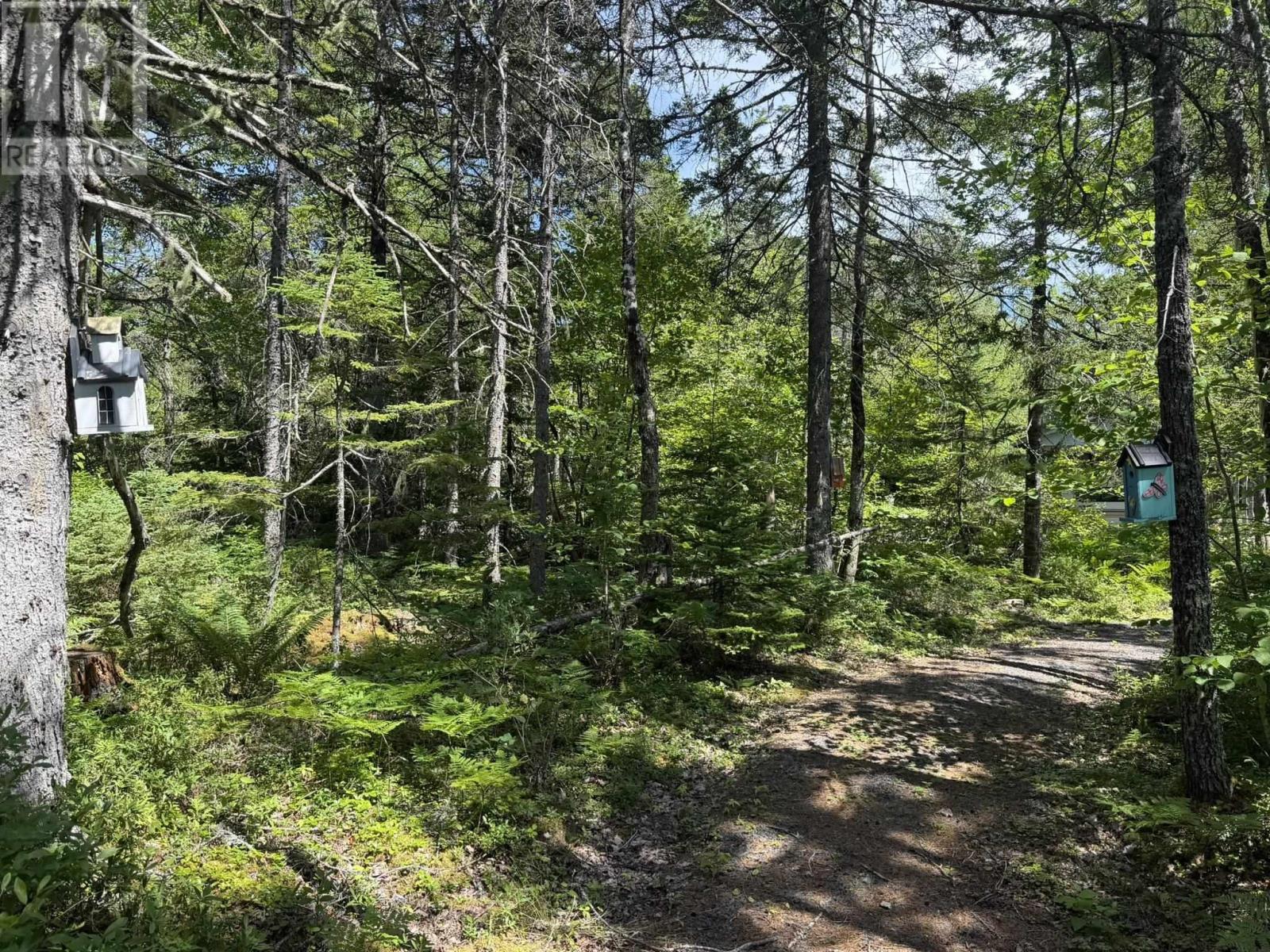 21 Turtle Lake Crescent, West Caledonia, Nova Scotia  B0T 1B0 - Photo 17 - 202618314