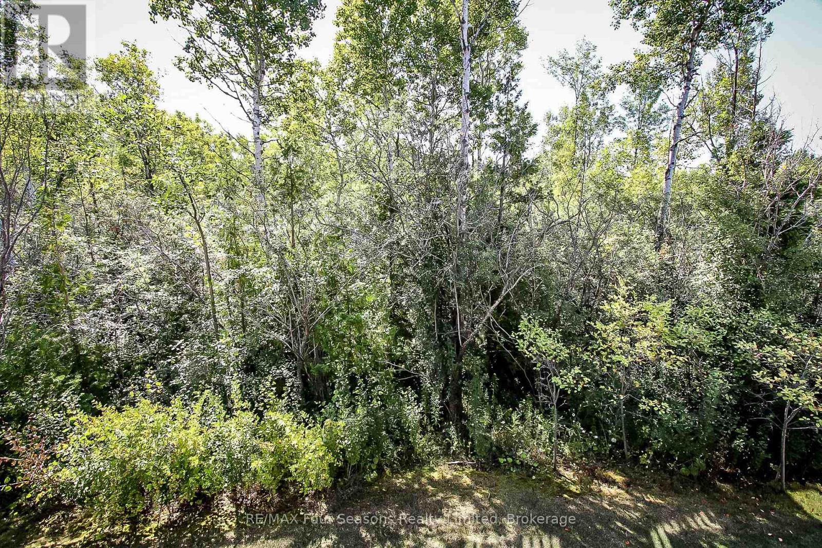 12 Robbie Way, Collingwood, Ontario  L9Y 0X5 - Photo 5 - S13608516