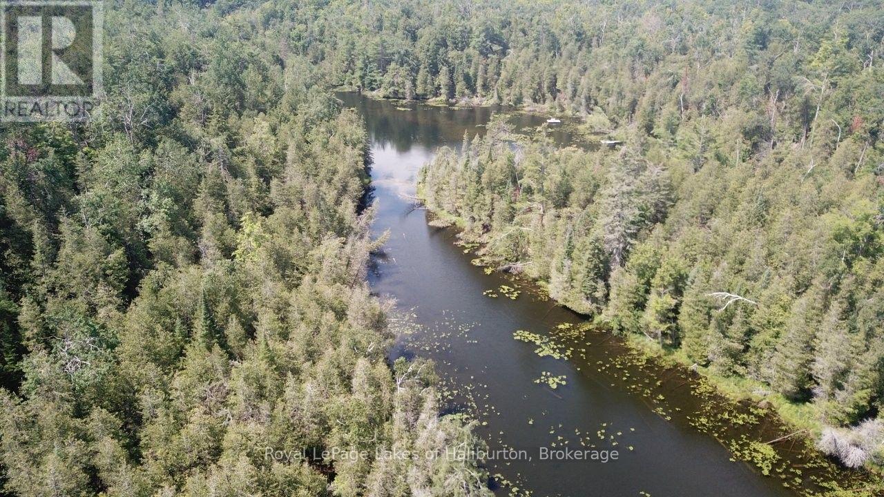 Beside 1456 Crystal Lake Road, Trent Lakes, Ontario  K0M 2A0 - Photo 13 - X13604358