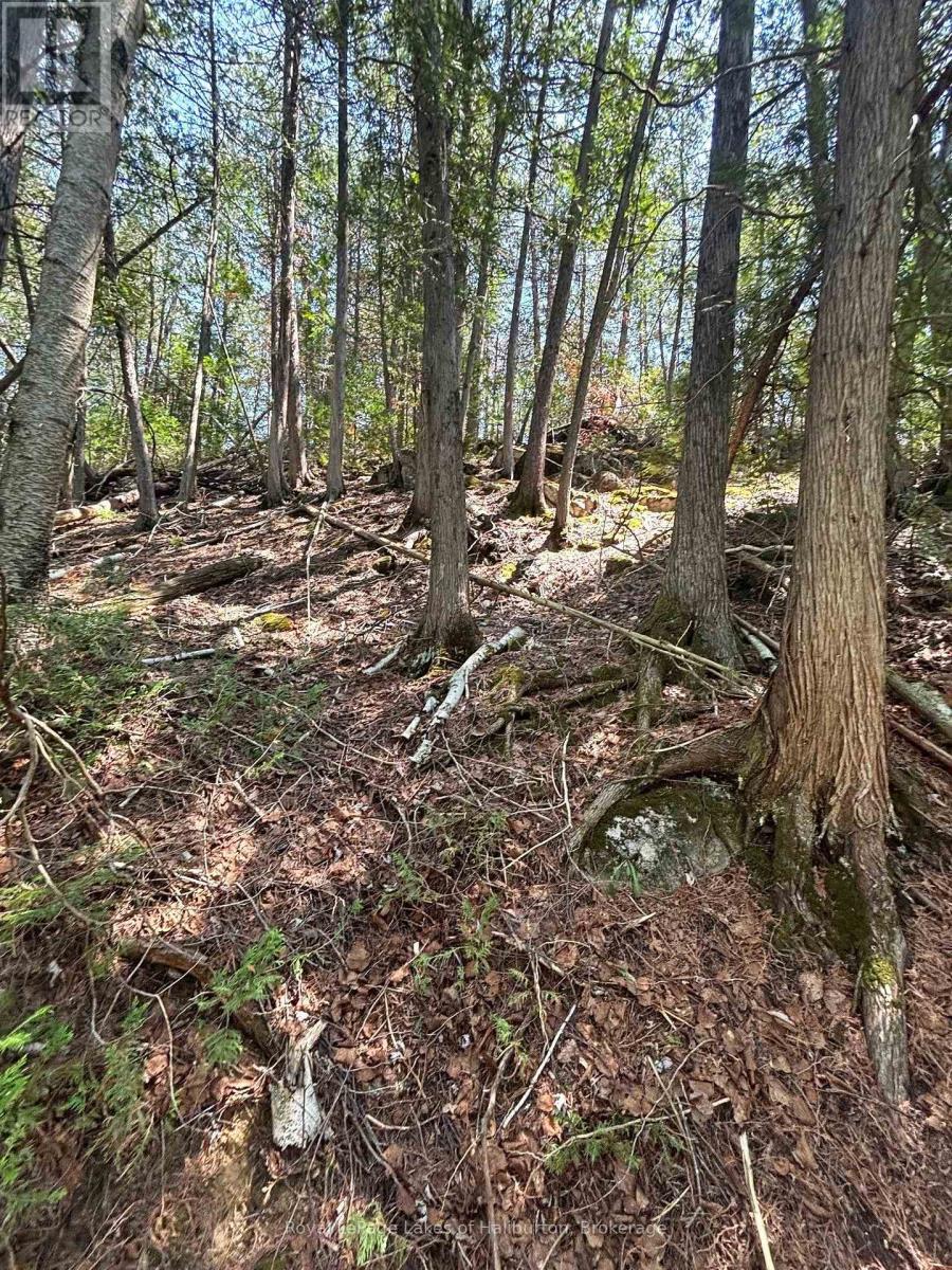 Beside 1456 Crystal Lake Road, Trent Lakes, Ontario  K0M 2A0 - Photo 18 - X13604358
