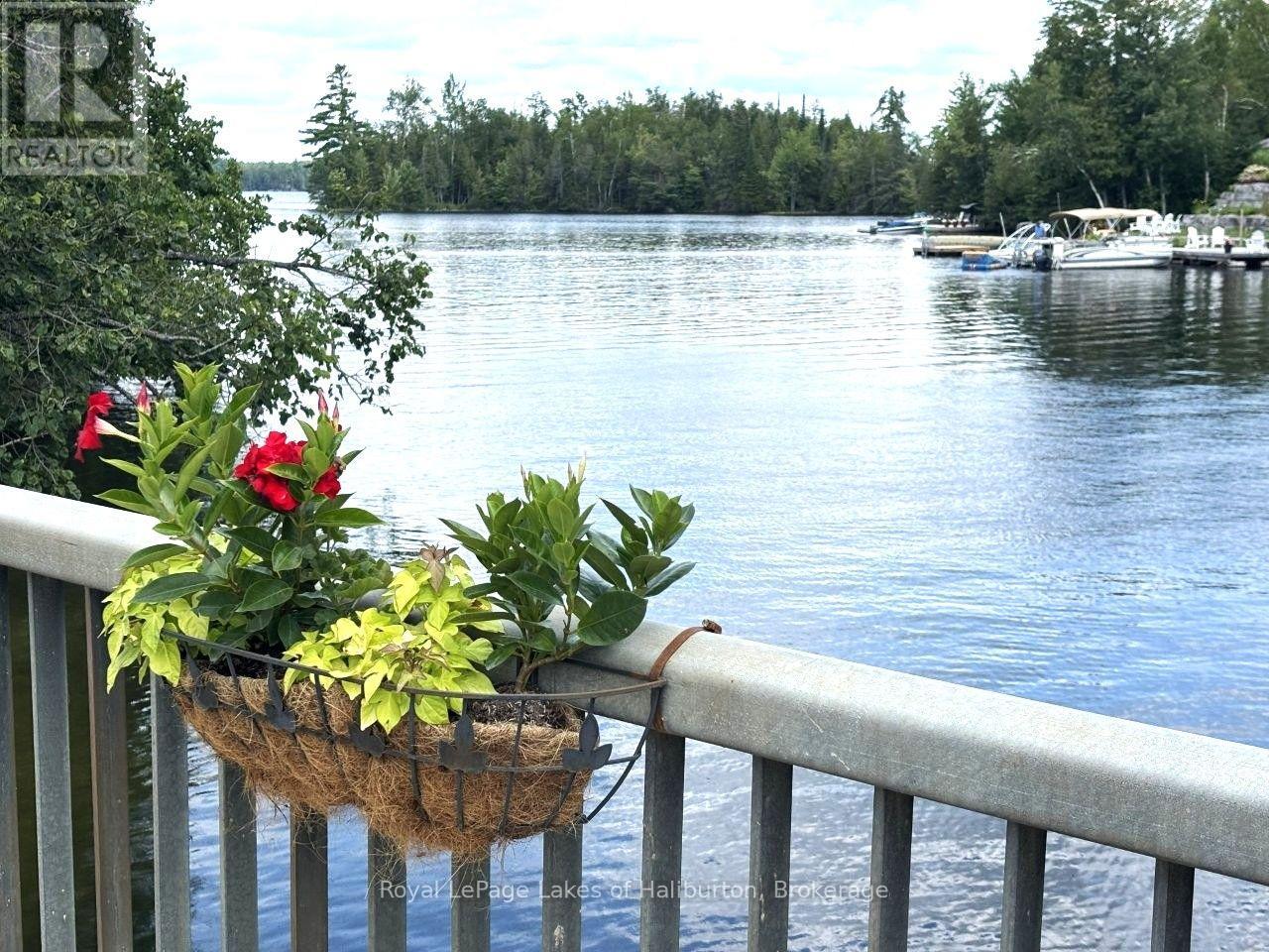 Beside 1456 Crystal Lake Road, Trent Lakes, Ontario  K0M 2A0 - Photo 2 - X13604358