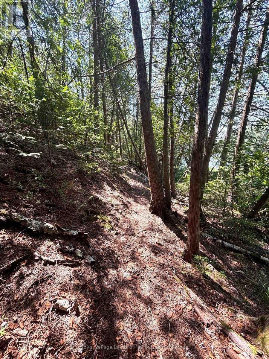 Beside 1456 Crystal Lake Road, Trent Lakes, Ontario  K0M 2A0 - Photo 17 - X13604358