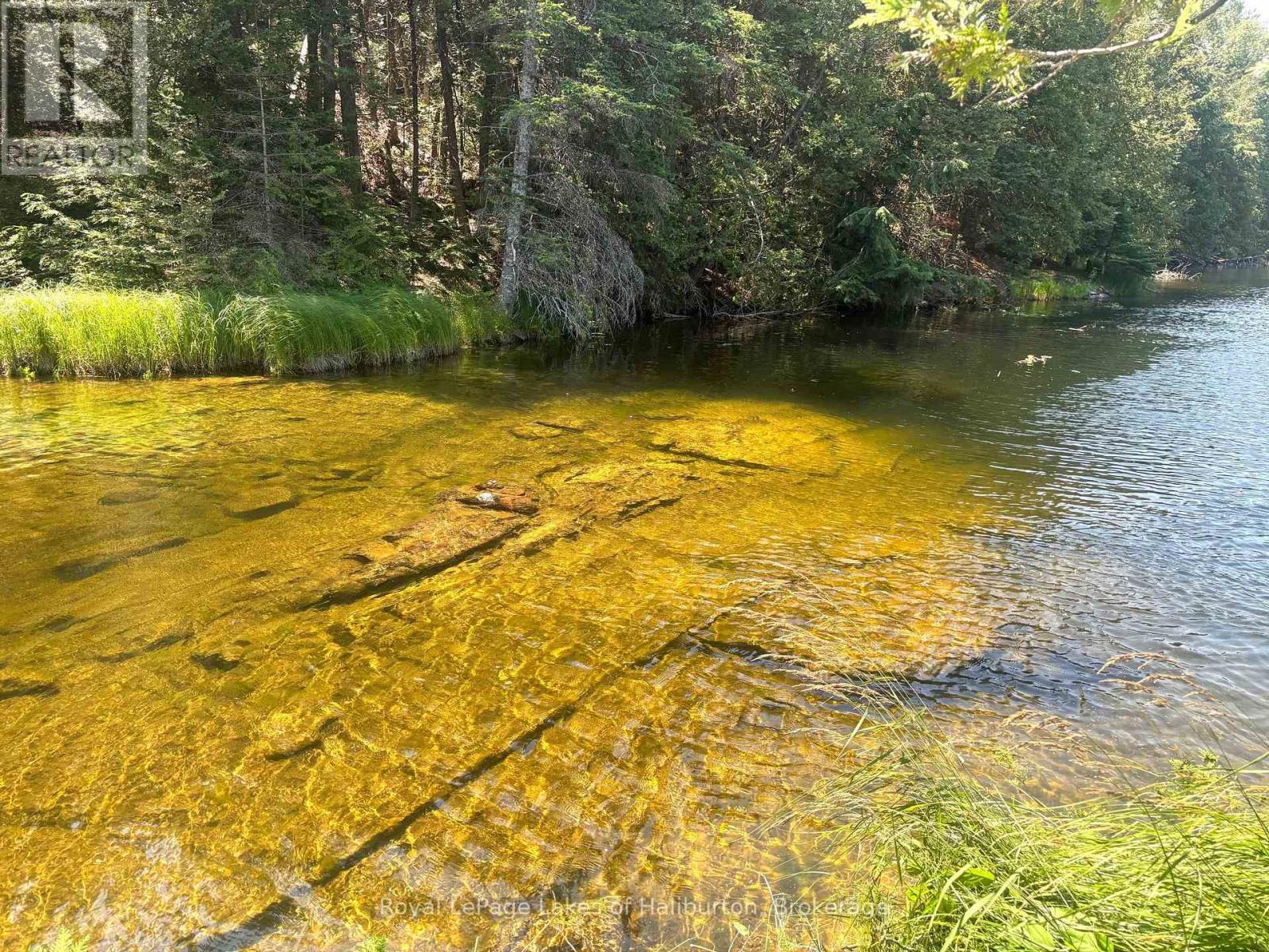 Beside 1456 Crystal Lake Road, Trent Lakes, Ontario  K0M 2A0 - Photo 22 - X13604358