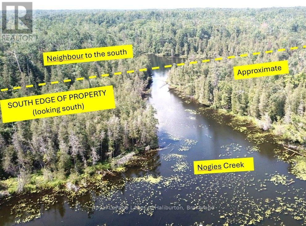 Beside 1456 Crystal Lake Road, Trent Lakes, Ontario  K0M 2A0 - Photo 11 - X13604358