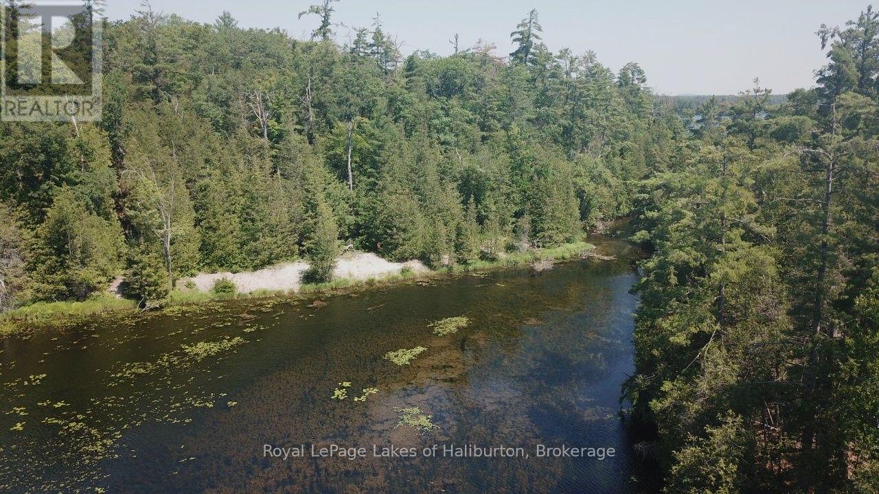 Beside 1456 Crystal Lake Road, Trent Lakes, Ontario  K0M 2A0 - Photo 23 - X13604358