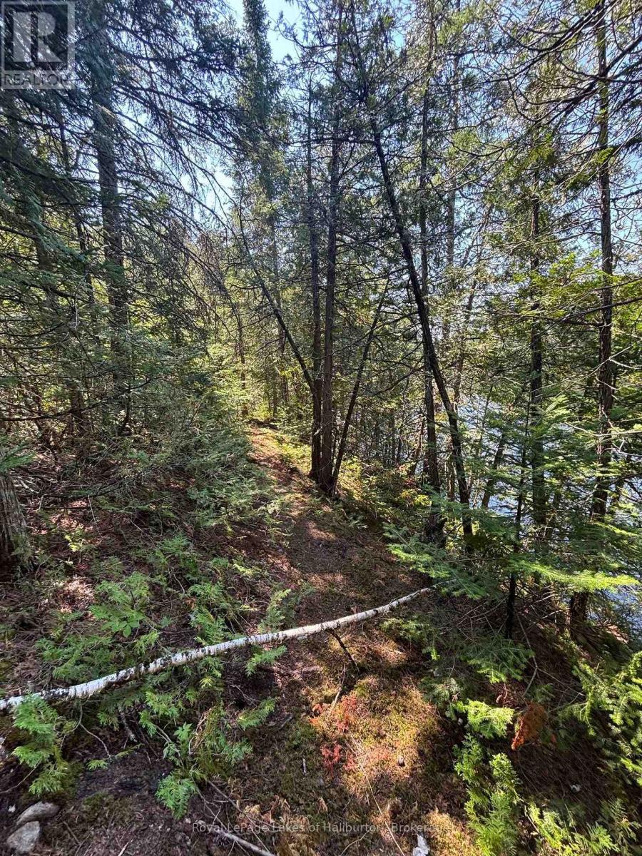 Beside 1456 Crystal Lake Road, Trent Lakes, Ontario  K0M 2A0 - Photo 20 - X13604358