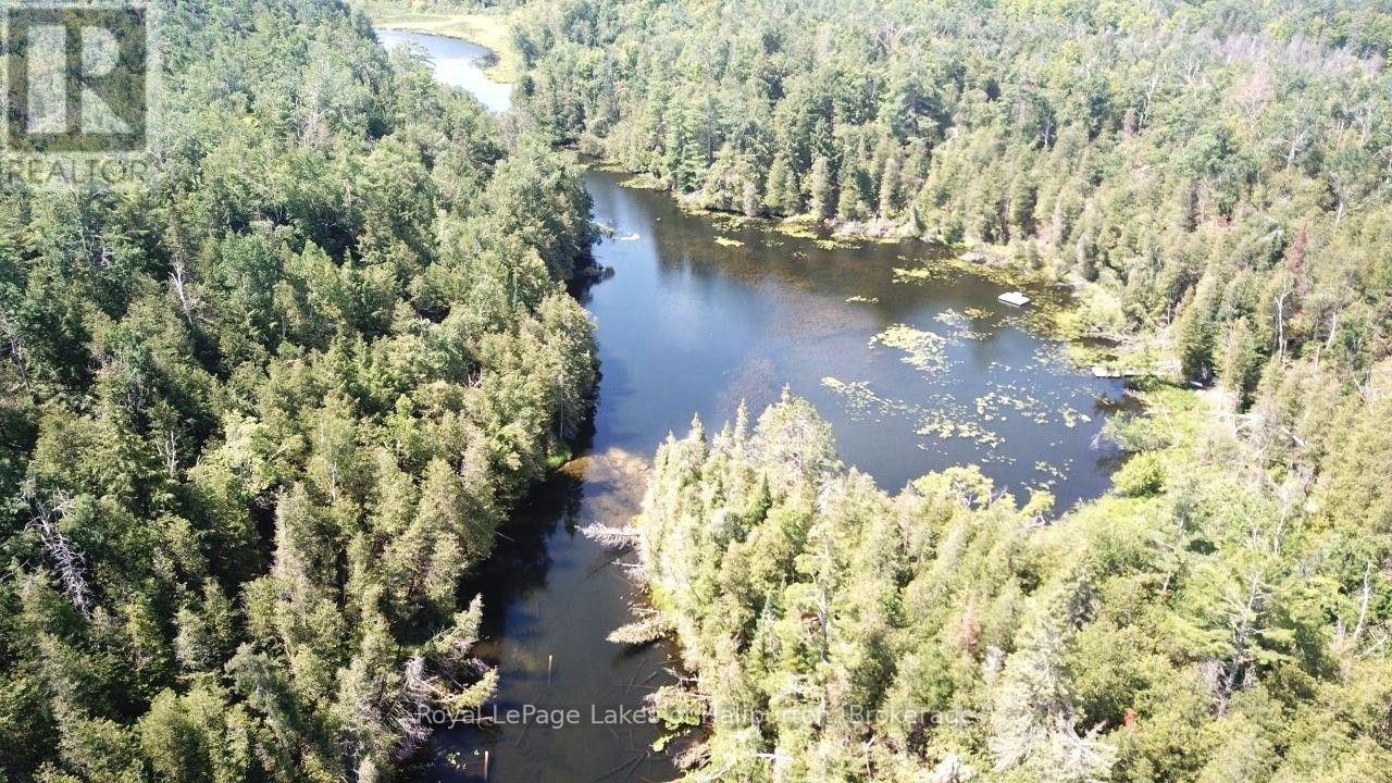 Beside 1456 Crystal Lake Road, Trent Lakes, Ontario  K0M 2A0 - Photo 14 - X13604358