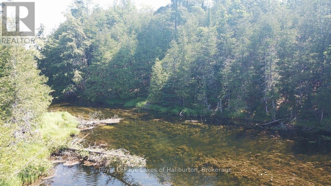 Beside 1456 Crystal Lake Road, Trent Lakes, Ontario  K0M 2A0 - Photo 25 - X13604358