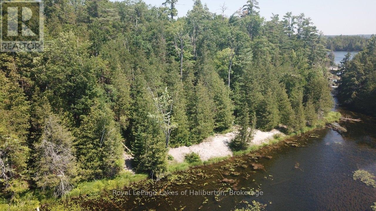 Beside 1456 Crystal Lake Road, Trent Lakes, Ontario  K0M 2A0 - Photo 29 - X13604358