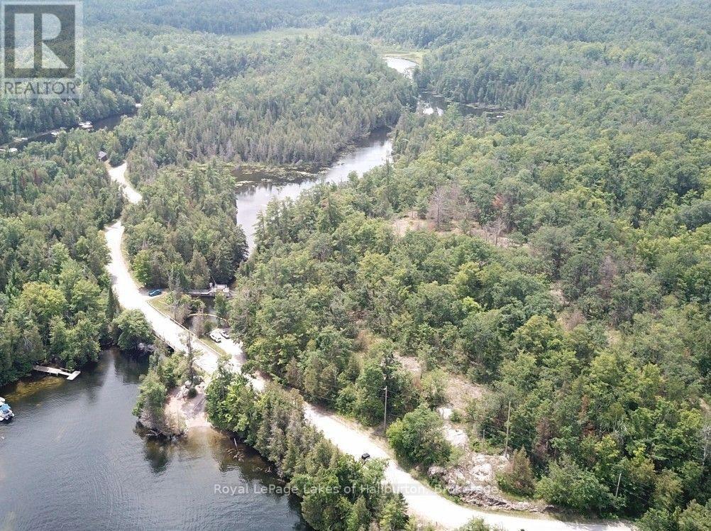 Beside 1456 Crystal Lake Road, Trent Lakes, Ontario  K0M 2A0 - Photo 38 - X13604358