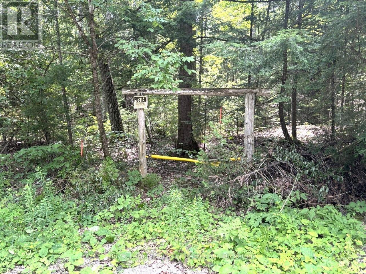 Beside 1456 Crystal Lake Road, Trent Lakes, Ontario  K0M 2A0 - Photo 40 - X13604358