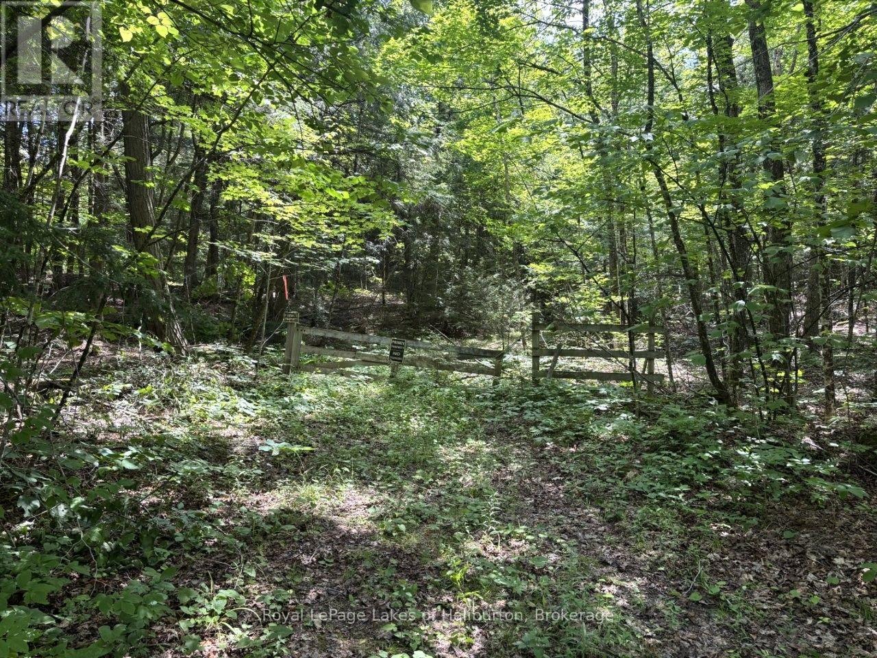 Beside 1456 Crystal Lake Road, Trent Lakes, Ontario  K0M 2A0 - Photo 41 - X13604358