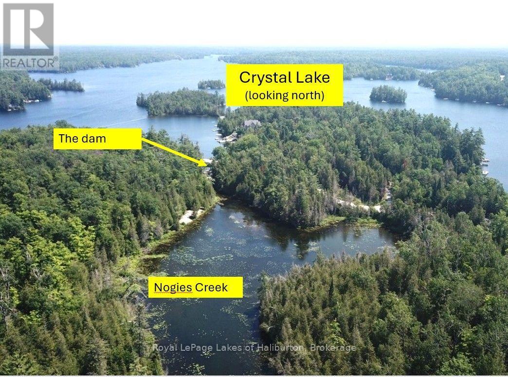 Beside 1456 Crystal Lake Road, Trent Lakes, Ontario  K0M 2A0 - Photo 6 - X13604358