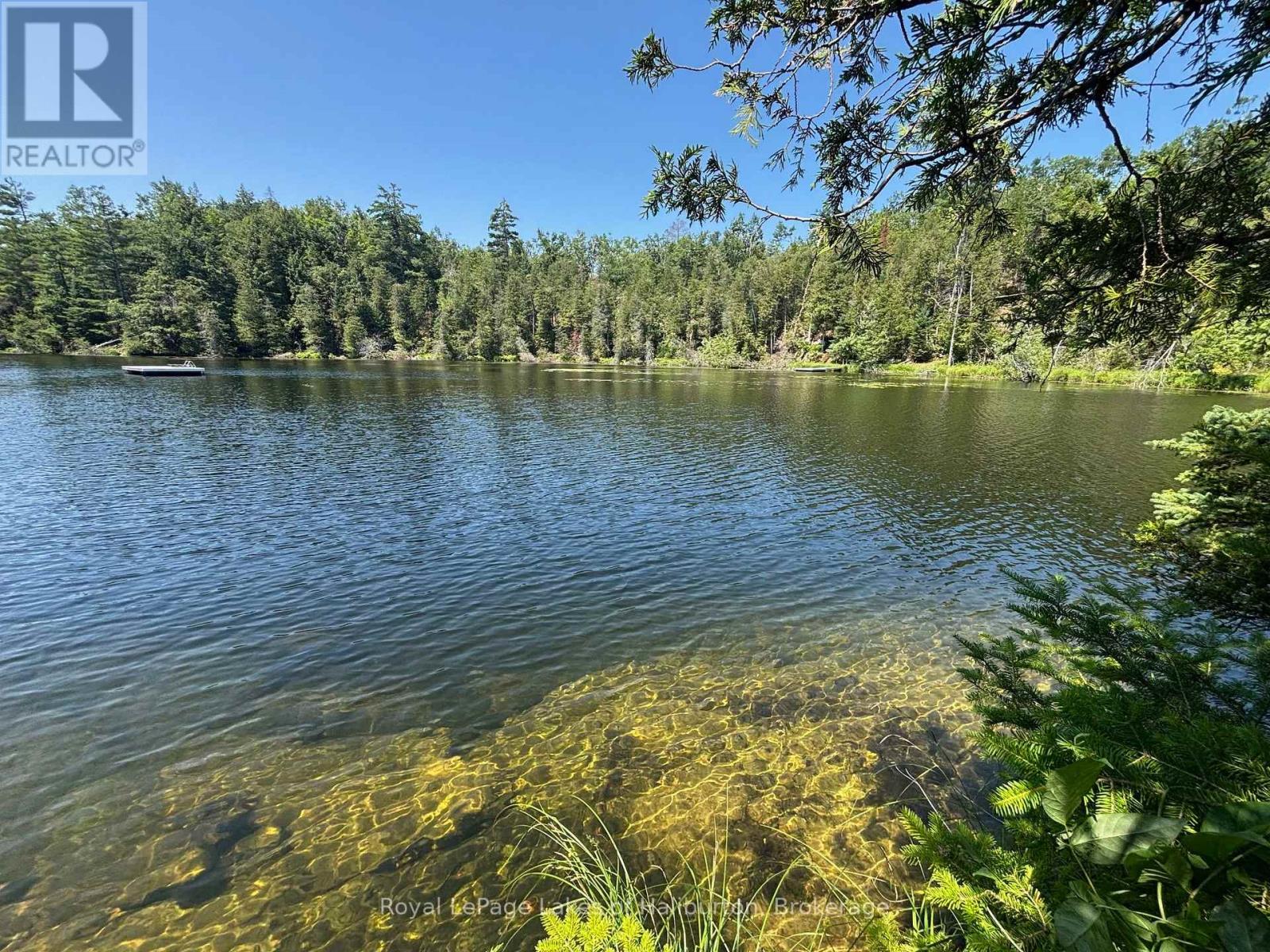 Beside 1456 Crystal Lake Road, Trent Lakes, Ontario  K0M 2A0 - Photo 8 - X13604358