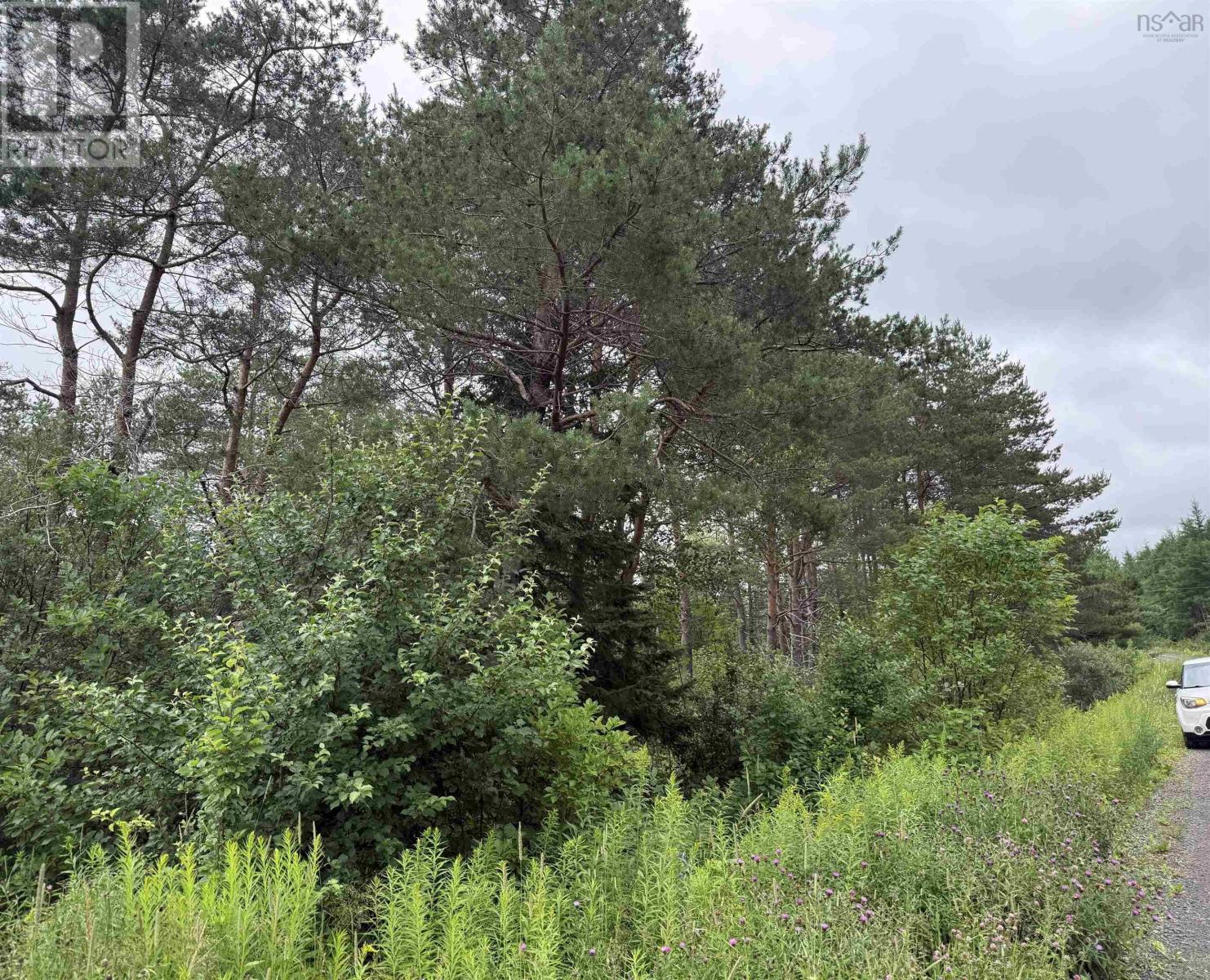 Lot 1 & 2 Whycocomagh Port Hood Rd. Soapstone Mine, Soapstone Mine, Nova Scotia  B0E 3M0 - Photo 5 - 202618357