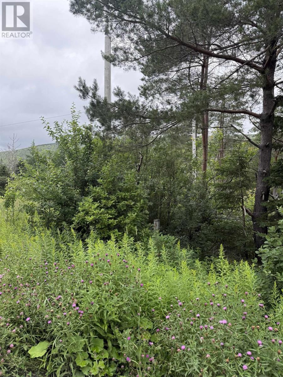 Lot 1 & 2 Whycocomagh Port Hood Rd. Soapstone Mine, Soapstone Mine, Nova Scotia  B0E 3M0 - Photo 6 - 202618357