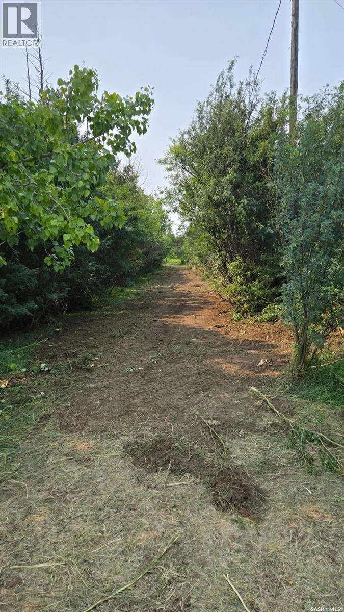 Hamm Acreage, Reford Rm No. 379, Saskatchewan  S0K 4W0 - Photo 6 - SK043048