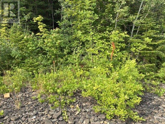 Lot 52 Grey Road 1 Road E, Georgian Bluffs, Ontario  N0H 2T0 - Photo 16 - X13608962