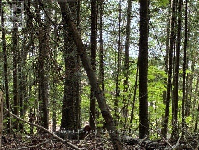 Lot 52 Grey Road 1 Road E, Georgian Bluffs, Ontario  N0H 2T0 - Photo 19 - X13608962