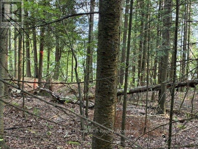 Lot 52 Grey Road 1 Road E, Georgian Bluffs, Ontario  N0H 2T0 - Photo 21 - X13608962
