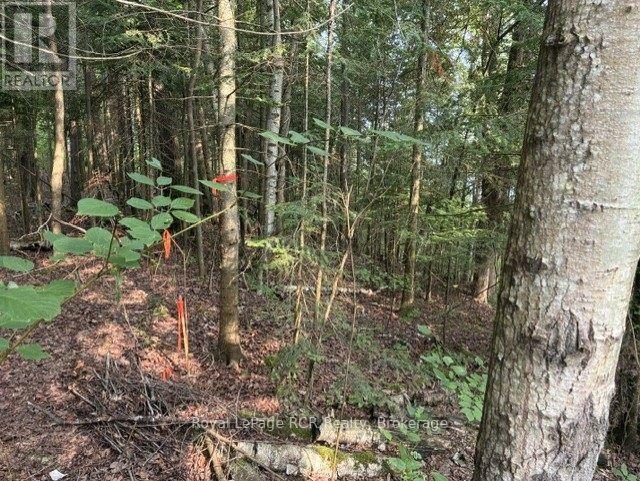 Lot 52 Grey Road 1 Road E, Georgian Bluffs, Ontario  N0H 2T0 - Photo 24 - X13608962