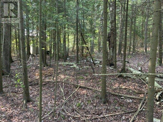 Lot 52 Grey Road 1 Road E, Georgian Bluffs, Ontario  N0H 2T0 - Photo 26 - X13608962