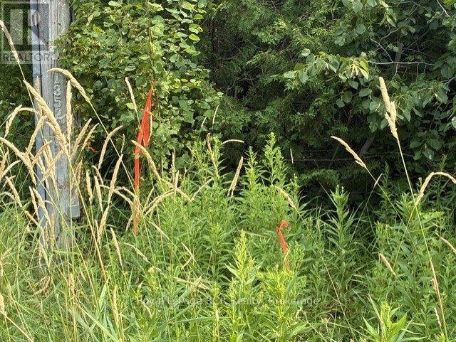 Lot 52 Grey Road 1 Road E, Georgian Bluffs, Ontario  N0H 2T0 - Photo 28 - X13608962