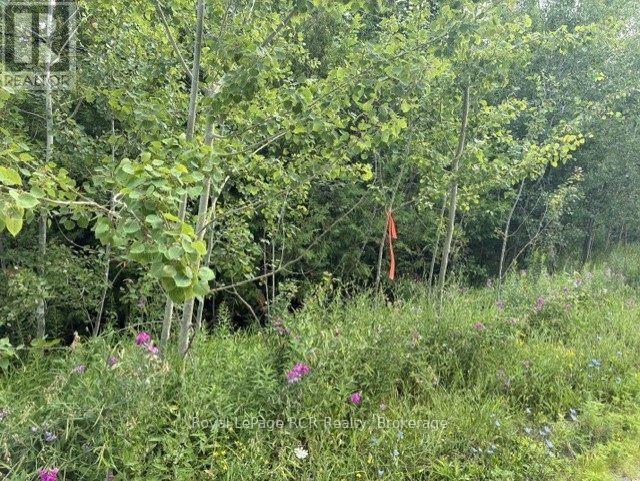 Lot 52 Grey Road 1 Road E, Georgian Bluffs, Ontario  N0H 2T0 - Photo 31 - X13608962