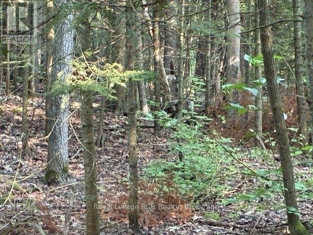 Lot 52 Grey Road 1 Road E, Georgian Bluffs, Ontario  N0H 2T0 - Photo 32 - X13608962