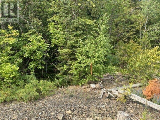 Lot 52 Grey Road 1 Road E, Georgian Bluffs, Ontario  N0H 2T0 - Photo 8 - X13608962