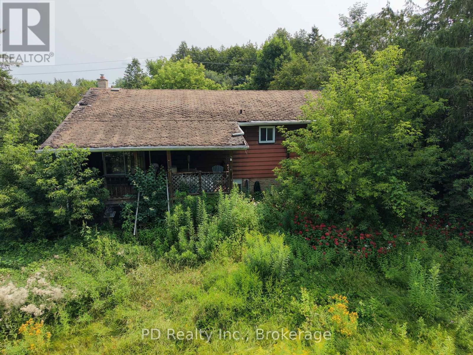 373 Mount Nebo Road, Kawartha Lakes, Ontario  K0L 2W0 - Photo 13 - X13608974