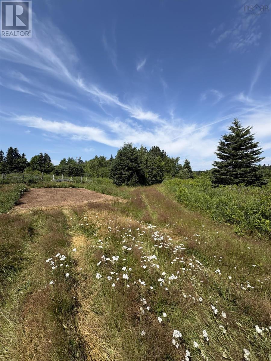 272 Breen Road, Monastery, Nova Scotia  B0H 1W0 - Photo 12 - 202617612