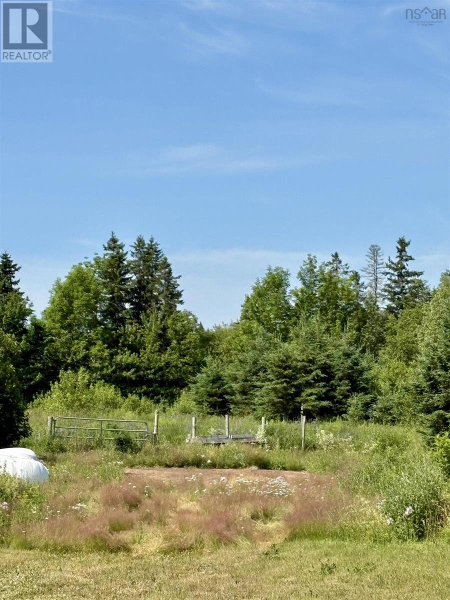 272 Breen Road, Monastery, Nova Scotia  B0H 1W0 - Photo 11 - 202617612