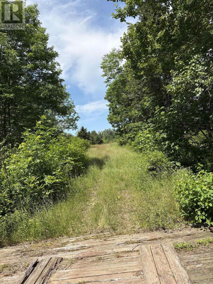 272 Breen Road, Monastery, Nova Scotia  B0H 1W0 - Photo 17 - 202617612