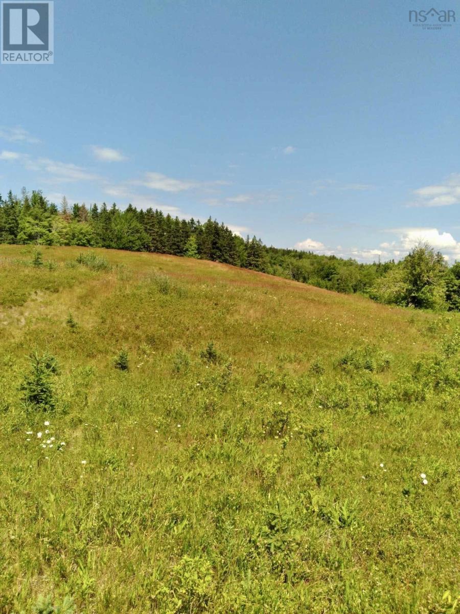 272 Breen Road, Monastery, Nova Scotia  B0H 1W0 - Photo 18 - 202617612