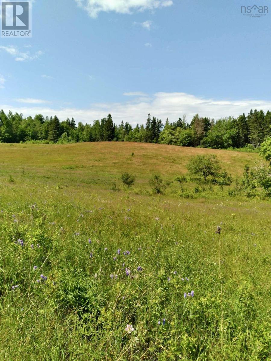 272 Breen Road, Monastery, Nova Scotia  B0H 1W0 - Photo 19 - 202617612