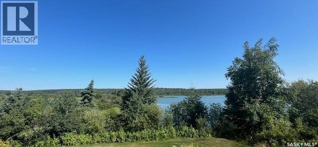 716 Spruce Street, Goodsoil, Saskatchewan  S0M 1A0 - Photo 6 - SK043507