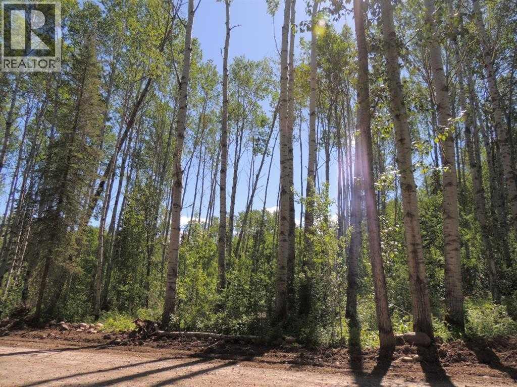 Lot #36 Wapiti River SW-21-69-10-W6, Rural Grande Prairie No. 1, Alberta  T0H 1J0 - Photo 1 - A2246231