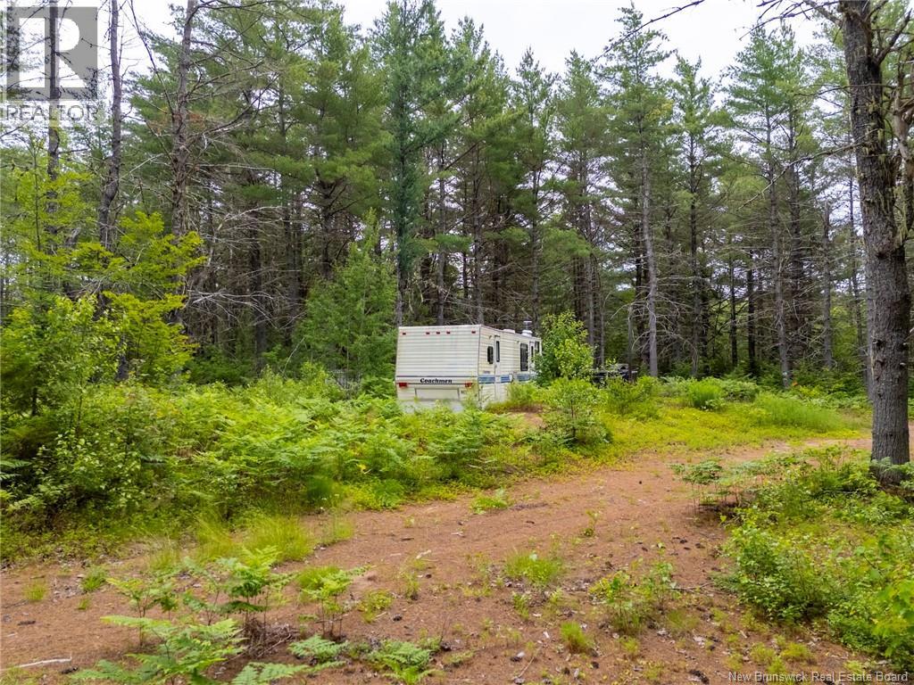 Lot Graham Road, South Oromocto Lake, New Brunswick  E5L 0O0 - Photo 1 - NB144598