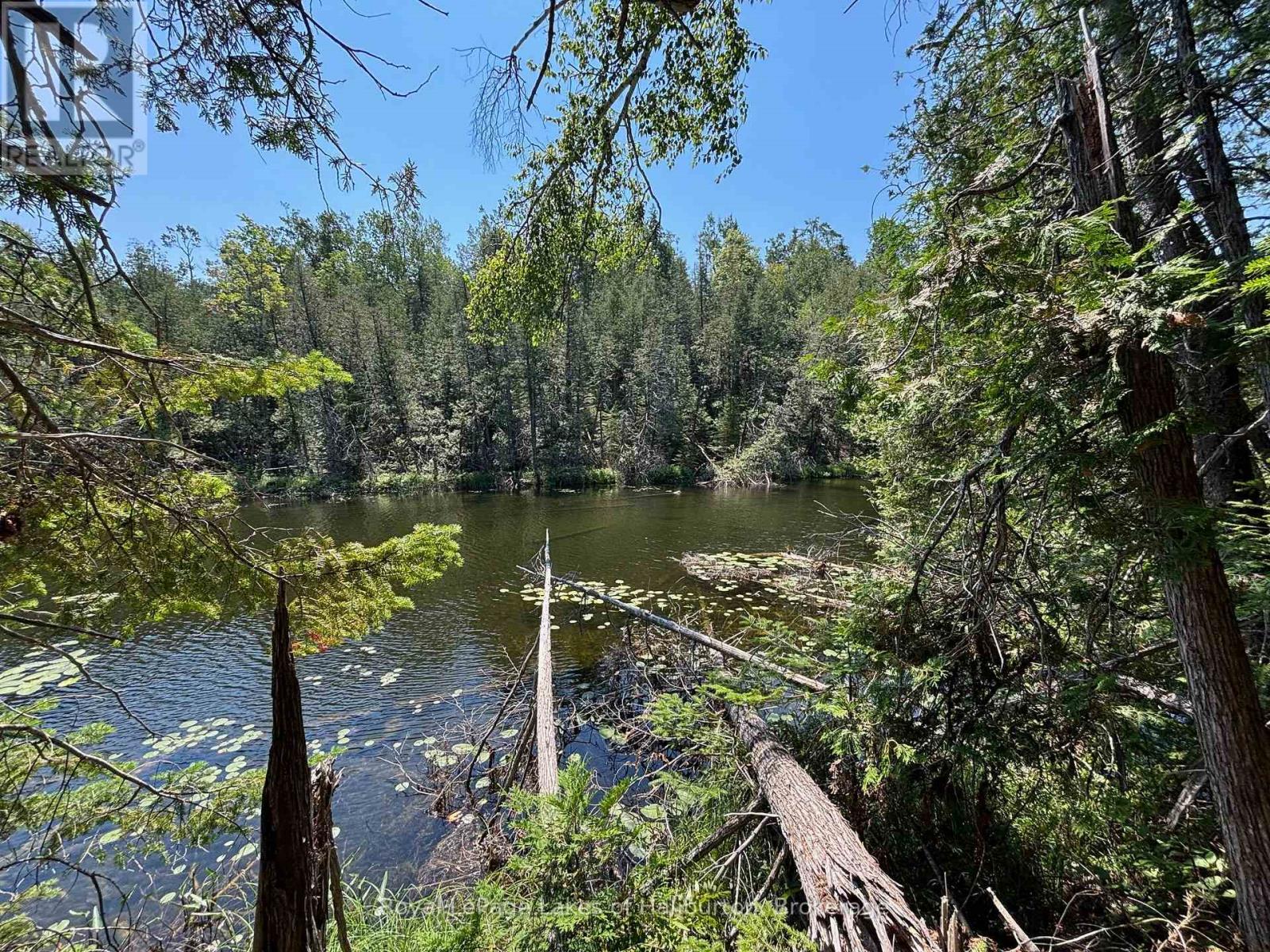 Beside 1456 Crystal Lake Road, Trent Lakes, Ontario  K0M 2A0 - Photo 20 - X13604358