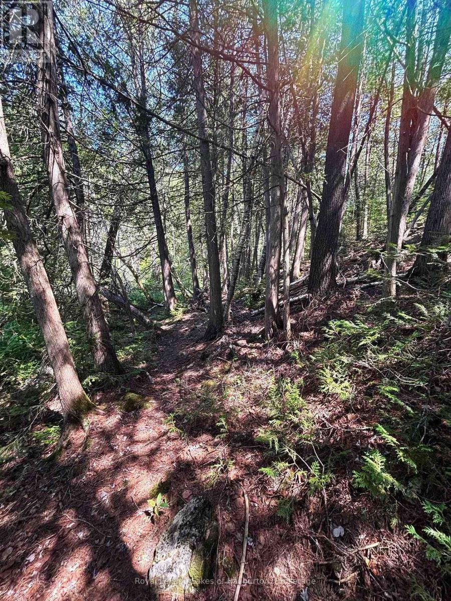 Beside 1456 Crystal Lake Road, Trent Lakes, Ontario  K0M 2A0 - Photo 18 - X13604358