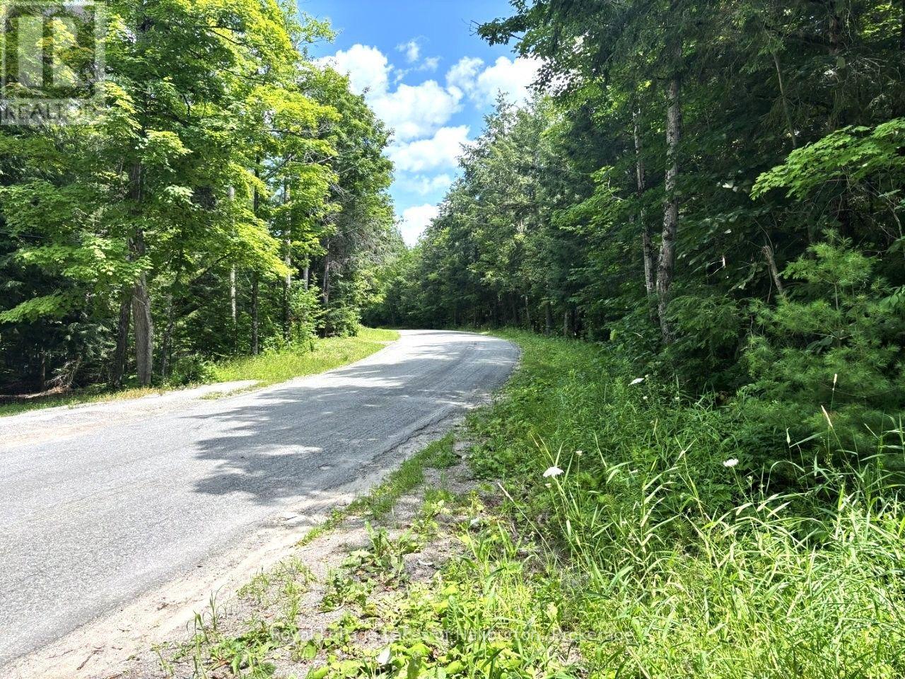 Beside 1456 Crystal Lake Road, Trent Lakes, Ontario K0M 2A0 - Photo 40 - X13604358