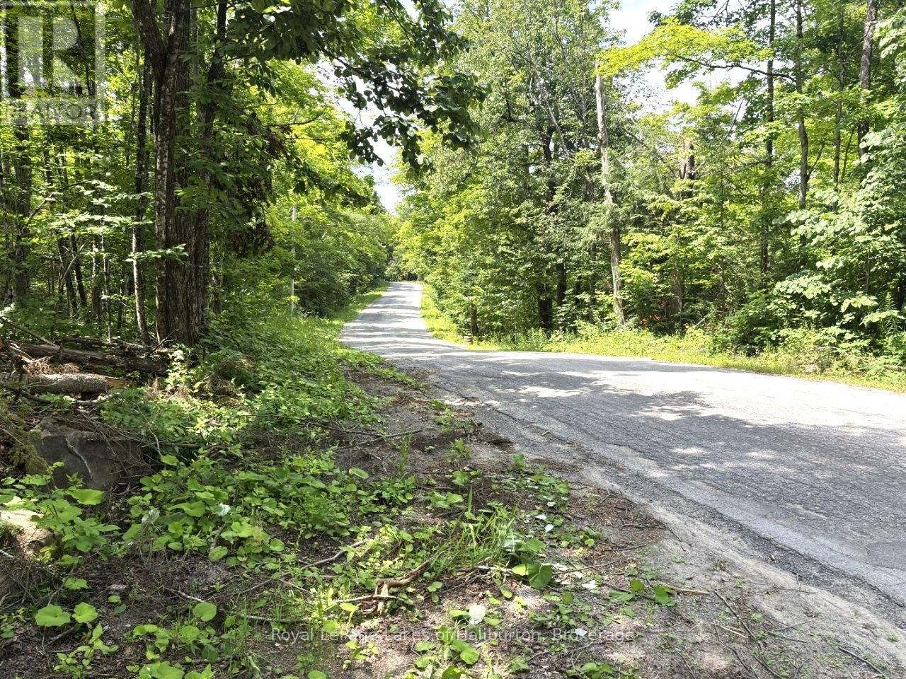 Beside 1456 Crystal Lake Road, Trent Lakes, Ontario K0M 2A0 - Photo 41 - X13604358