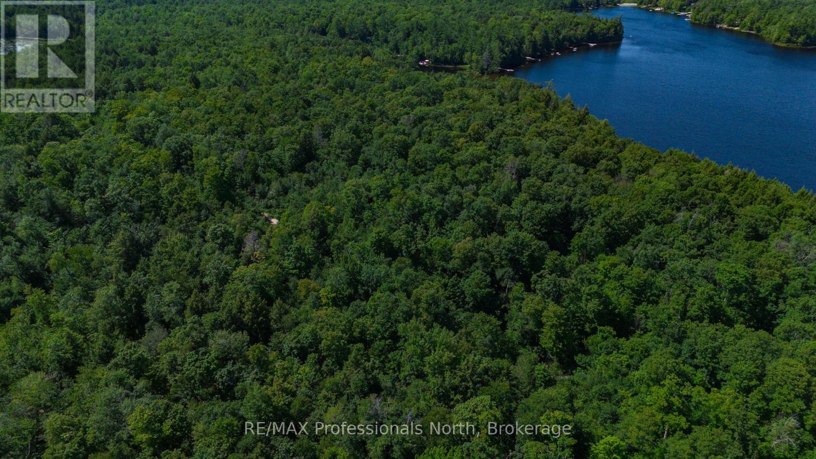 3 Stone Gate Lane, Bracebridge, Ontario  P1L 1X3 - Photo 14 - X12855204