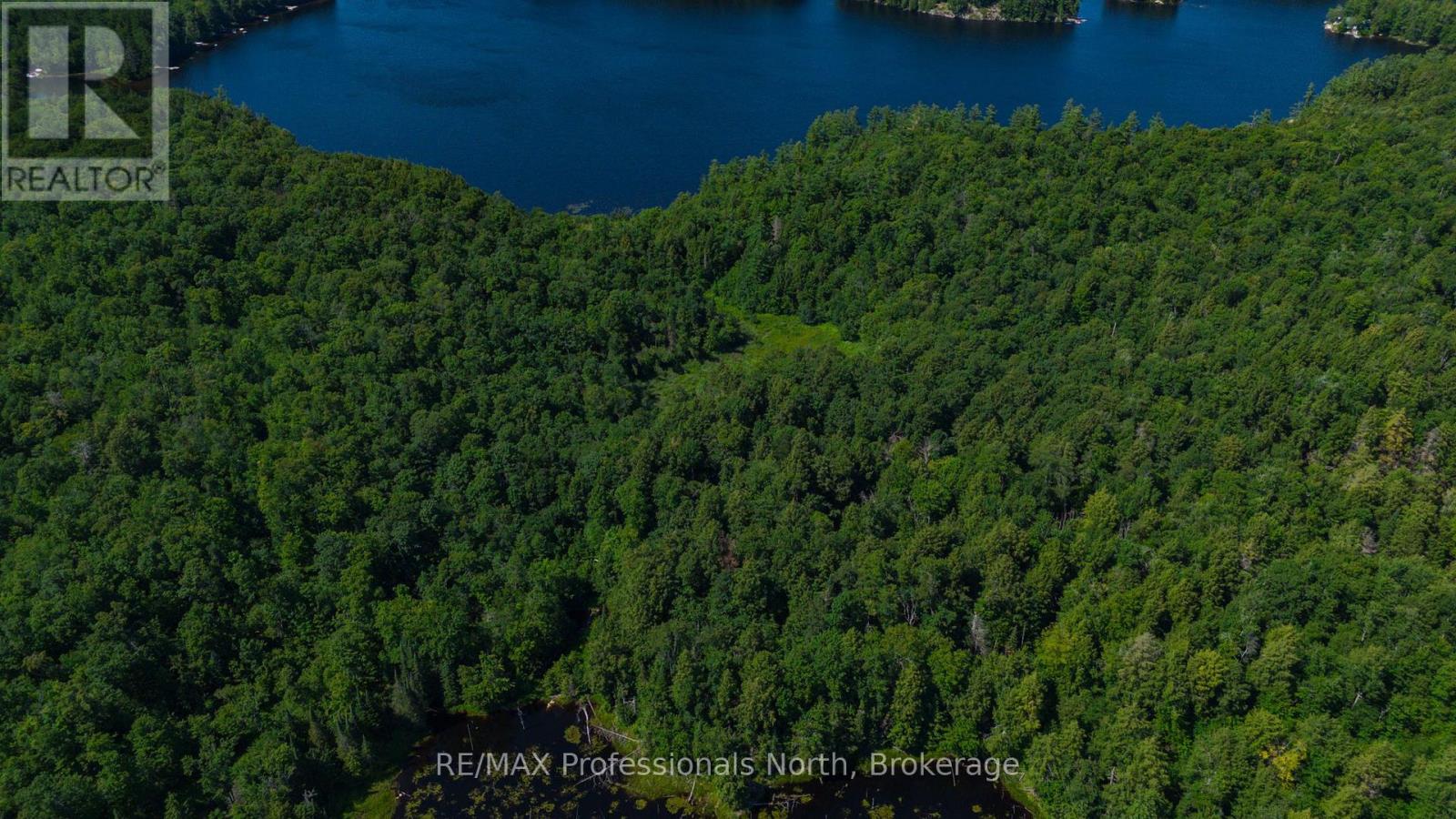 4 Stone Gate Lane, Bracebridge, Ontario  P1L 1X3 - Photo 12 - X12855208