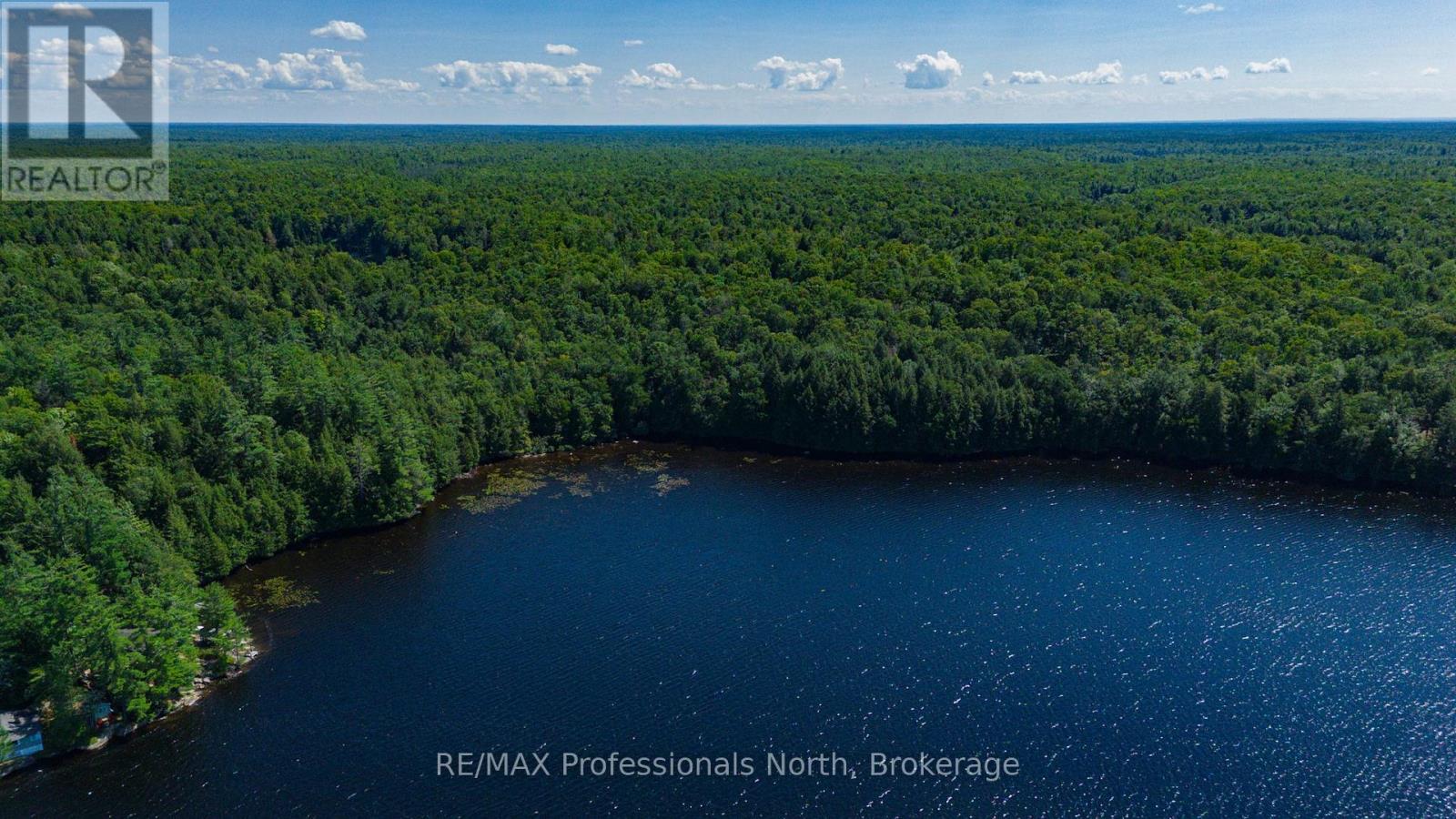 4 Stone Gate Lane, Bracebridge, Ontario  P1L 1X3 - Photo 10 - X12855208