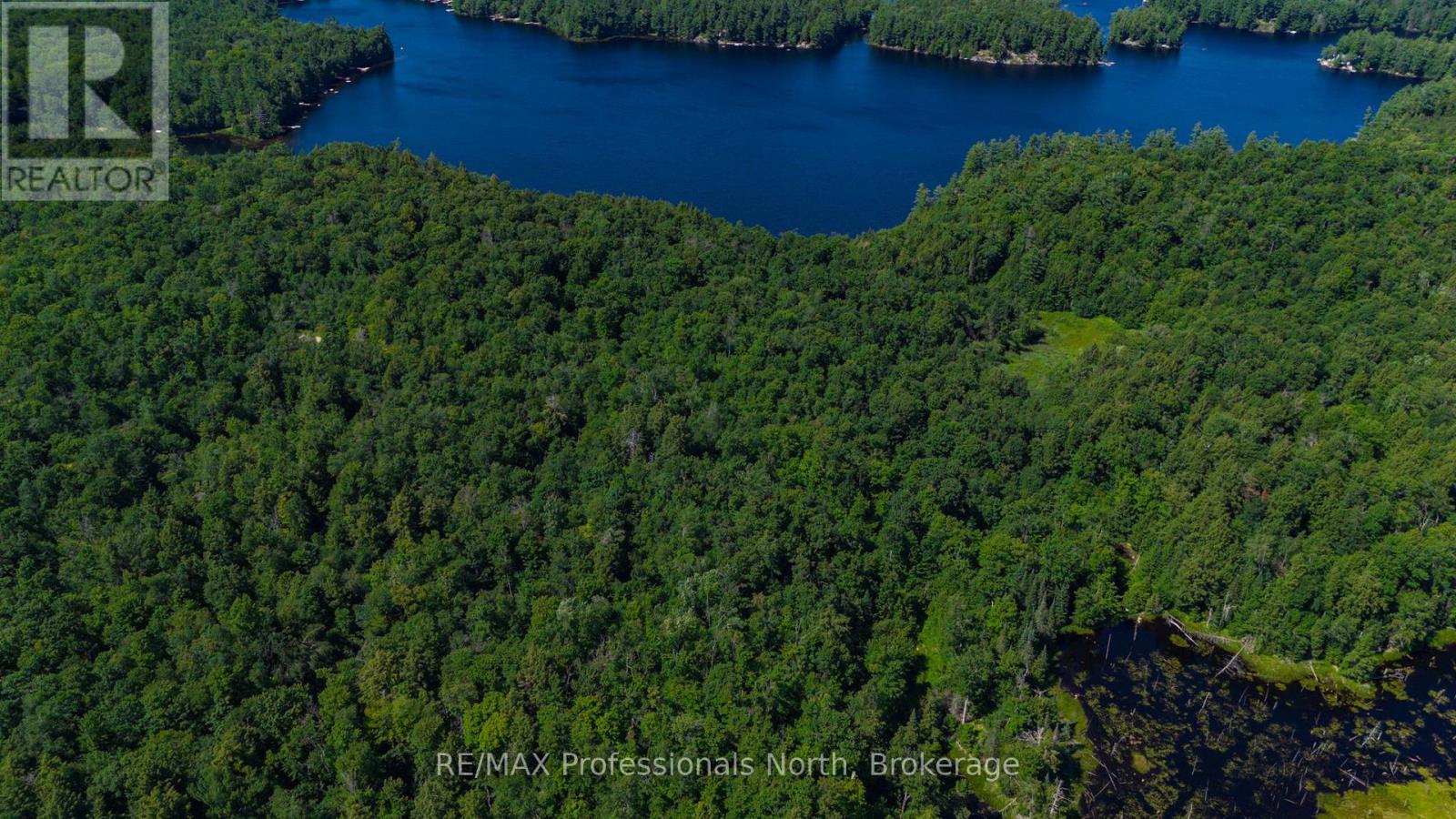 4 Stone Gate Lane, Bracebridge, Ontario  P1L 1X3 - Photo 13 - X12855208