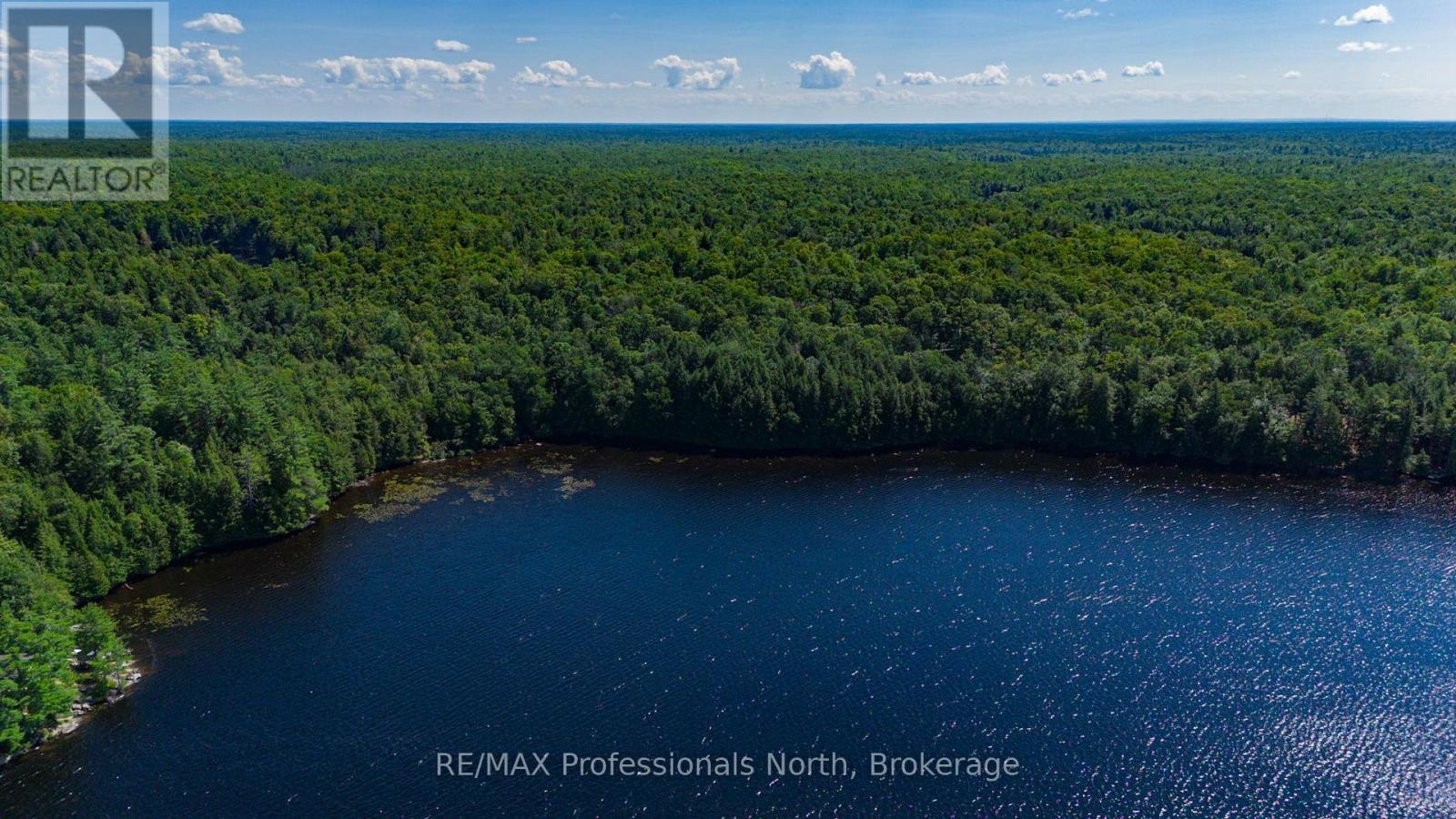 4 Stone Gate Lane, Bracebridge, Ontario  P1L 1X3 - Photo 9 - X12855208