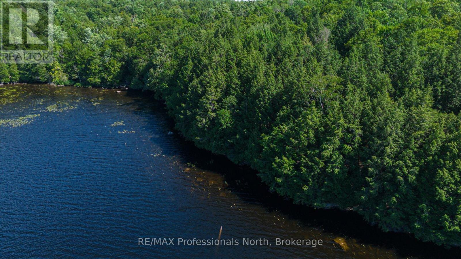 4 Stone Gate Lane, Bracebridge, Ontario  P1L 1X3 - Photo 5 - X12855208